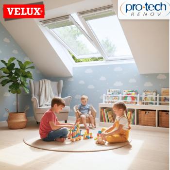 Velux en indre et loire - Pro Tech Renov (2).jpg